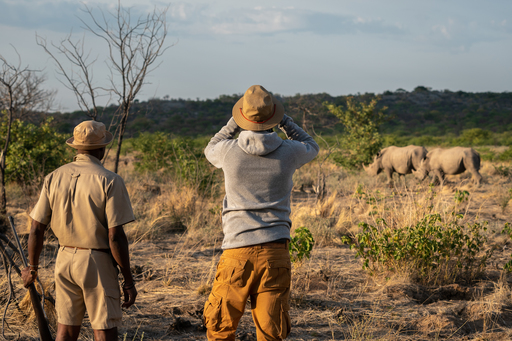 Sonderreise Namibia – Naturschutz und Nachhaltigkeit | Abendsonne Afrika