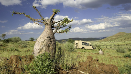 Höhepunkte Namibias | Abendsonne Afrika